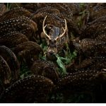 ট্রেন্ড বনাম পারফেক্ট হেয়ার স্টাইল